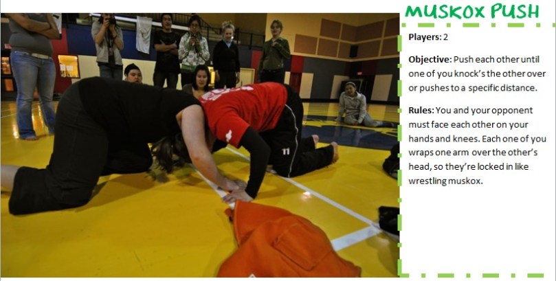 muskox push