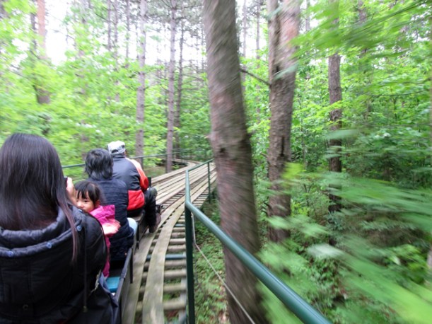 Richmond-Hill-Live-Steamers-Bakht-Sajid-web