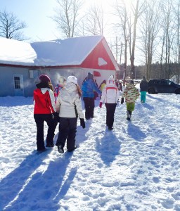 Students walking towards the sugar-shack to "sugar-off"
