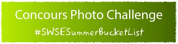 Photo Challenge SWSE